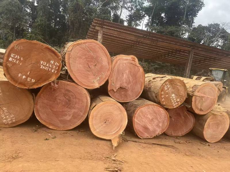african okoume log