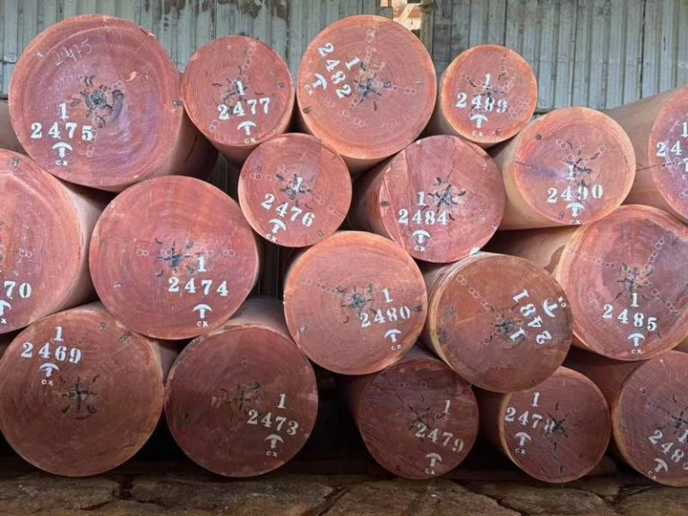 gabon timber company YYW