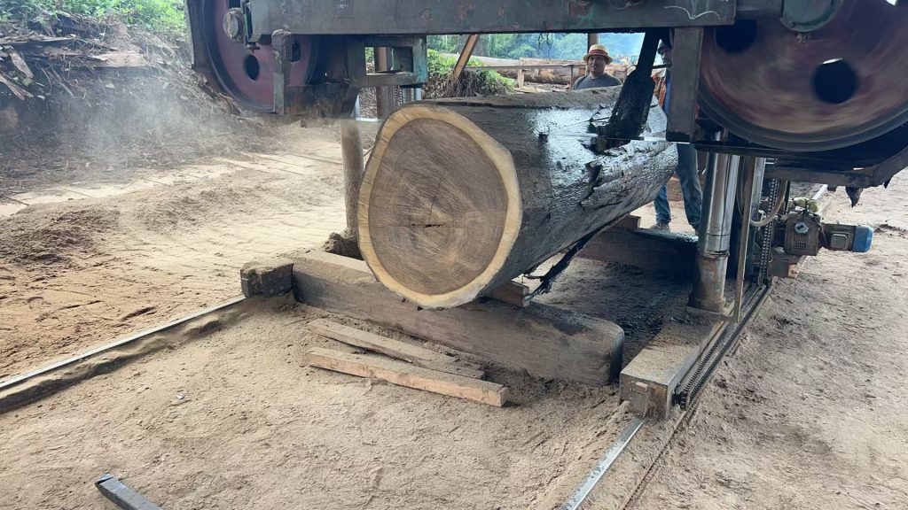 Bubinga logs African hardwood raw material