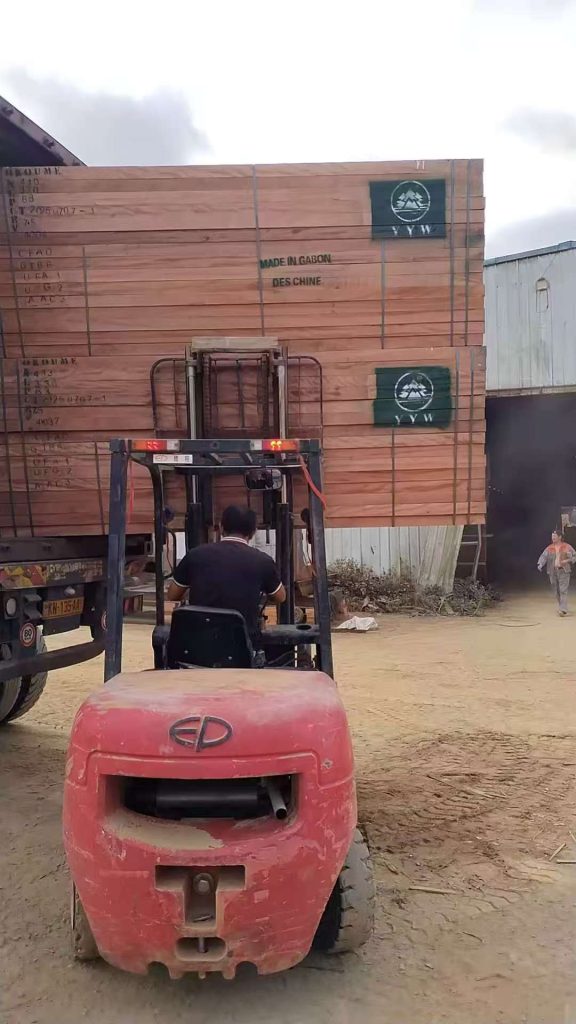 Timber Containerized KD Okoume Timber Ready for Shipment | Export Process