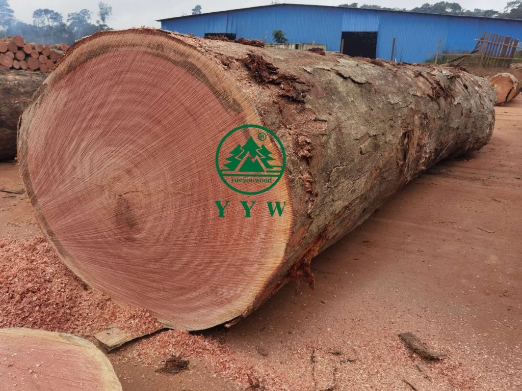 okoume logs stock in africa