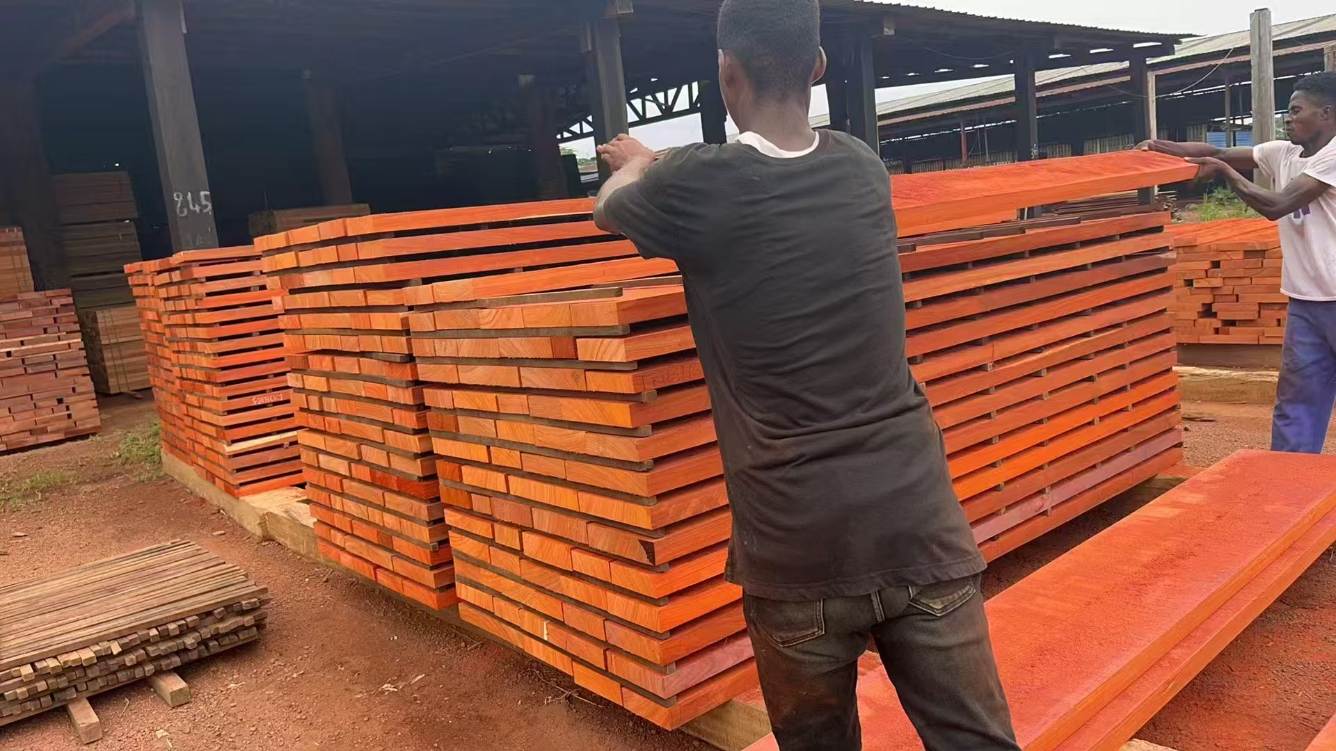 AD Padouk timber wood