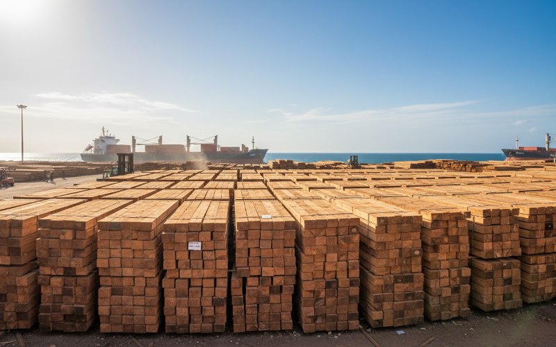 Industrial saw cutting dense Tali wood sawn timber