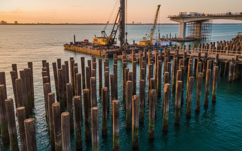 FSC Certified Tali wood ready for B2B export