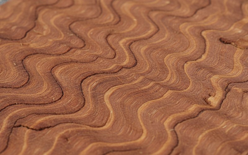 Raw Tali wood log cants in an African timber export yard