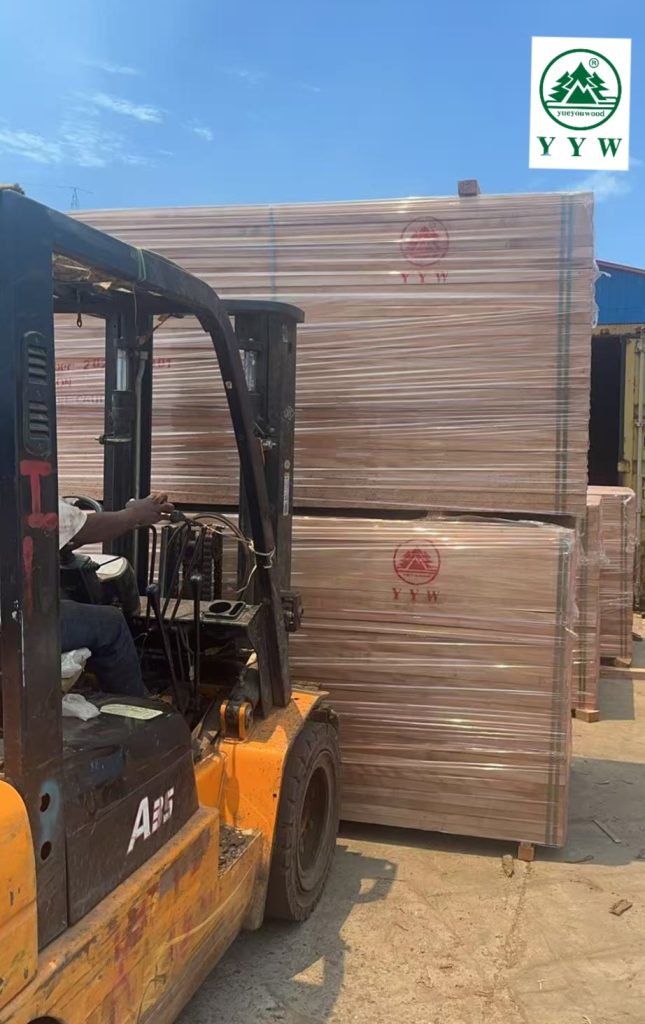 Kiln Drying Okoume timber