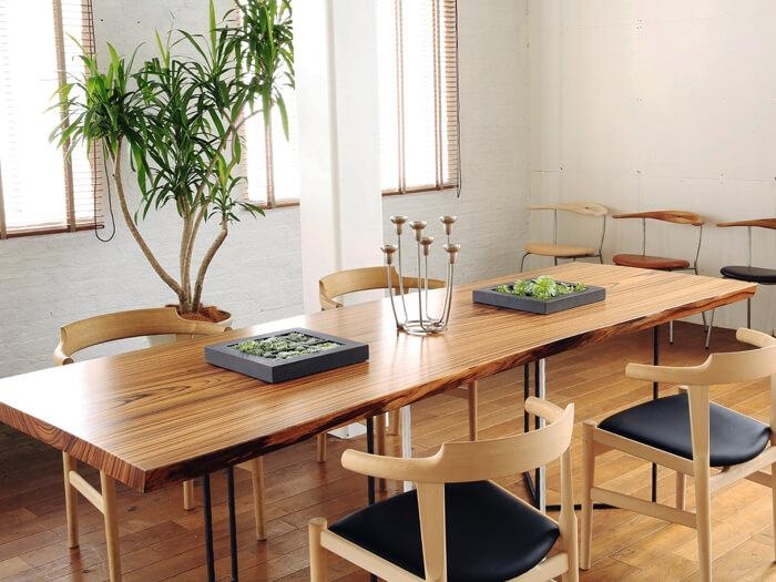zebrano luxury furniture