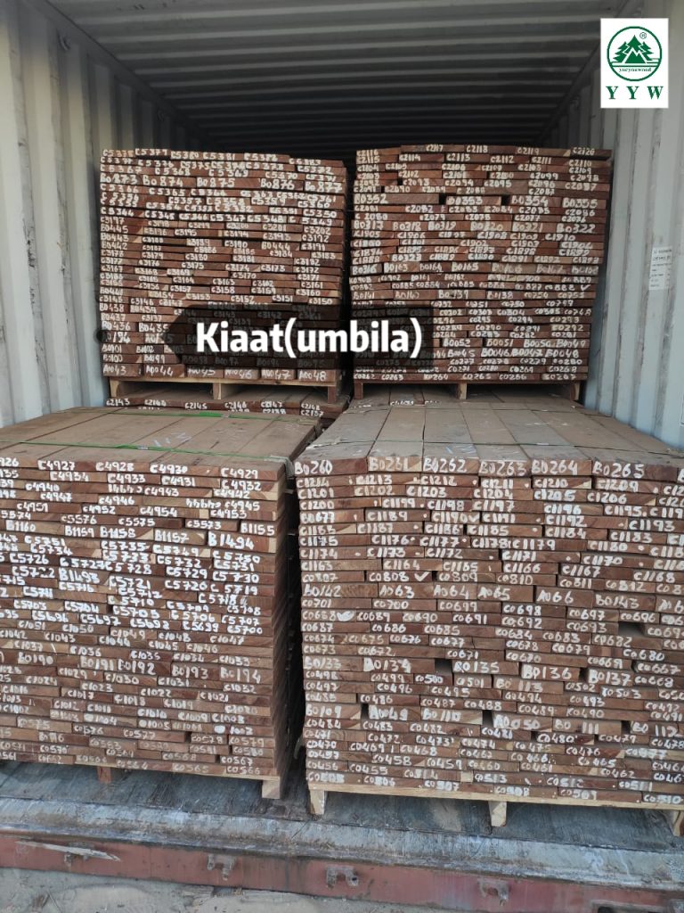 loading Kiaat(Umbila) timber