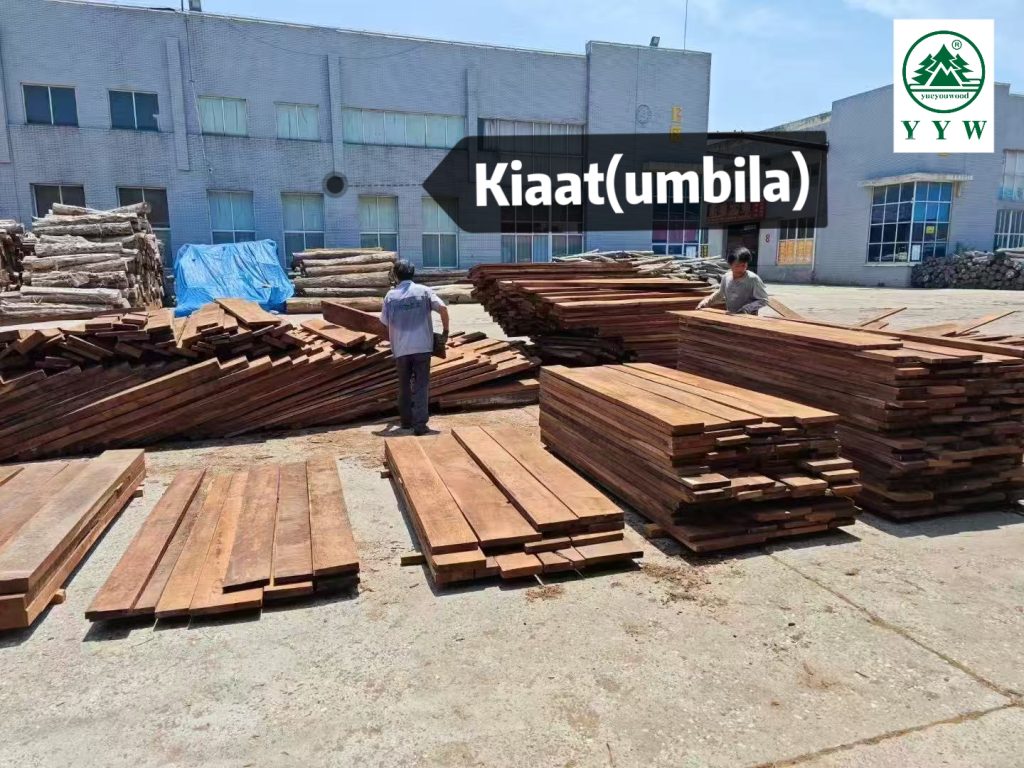 kiaat timber stacked at african sawmill