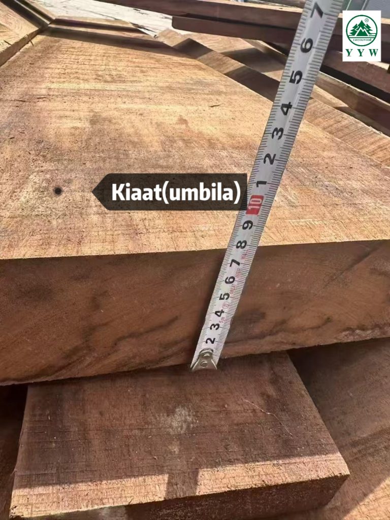kiaat wood grain texture close up