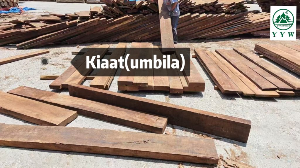 umbila timber stacked at african sawmill