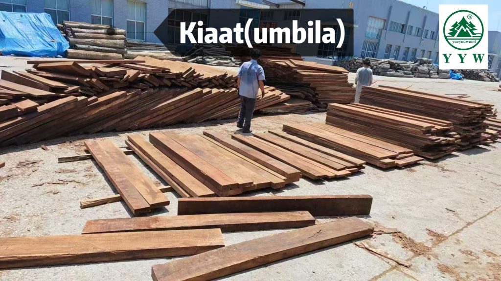kiaat timber stacked at african sawmill