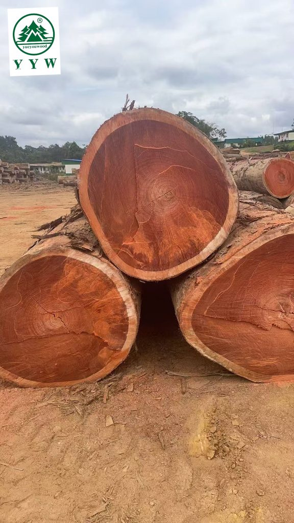 Padouk logs