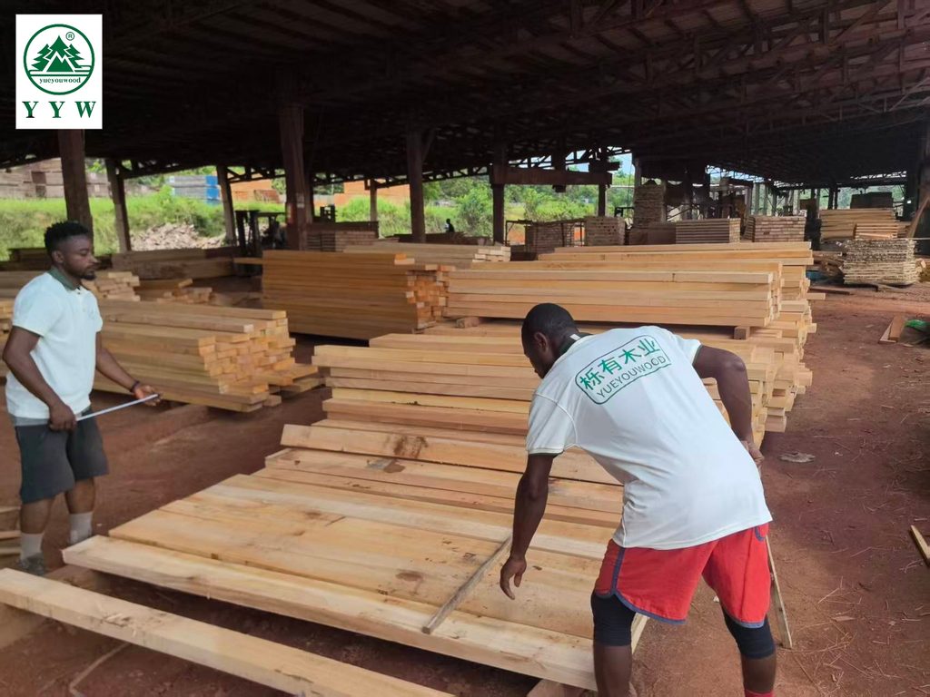 African Okoume timber inventory