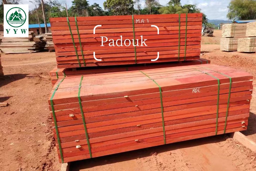 African Padouk timber stacked in warehouse