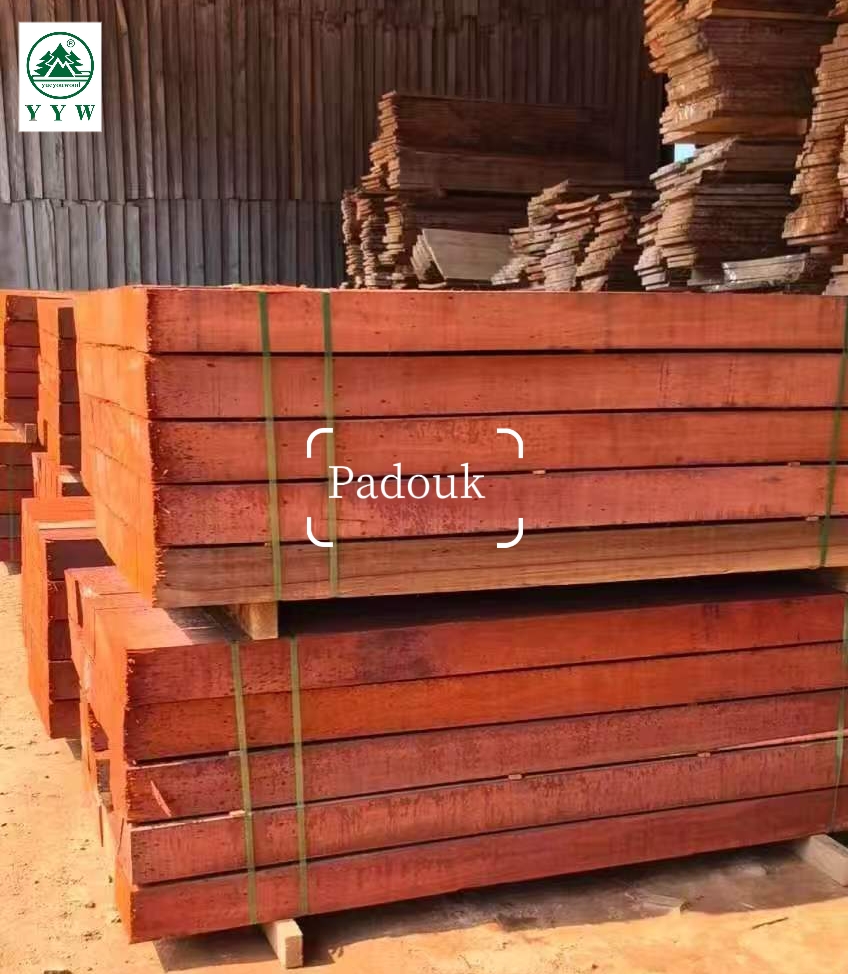 African Padouk sawn timber for international export