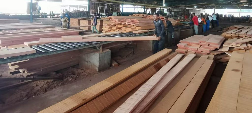 Sapelli sawn timber production