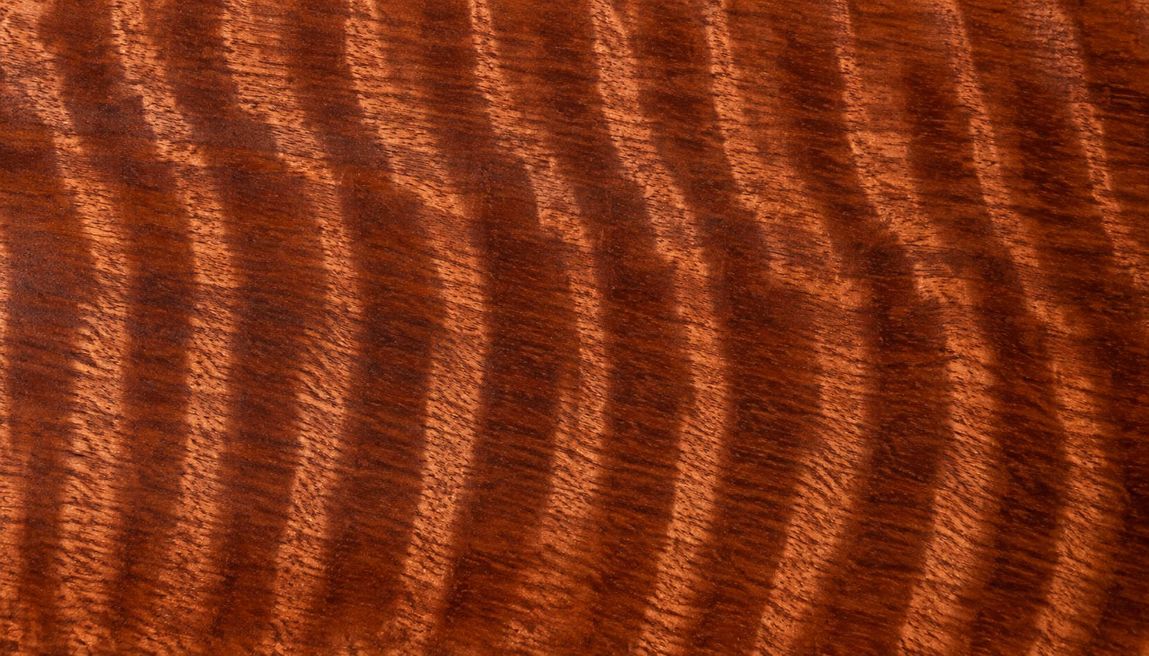 Quarter-sawn sapele wood showing distinct ribbon stripe figure and interlocked grain patterns.