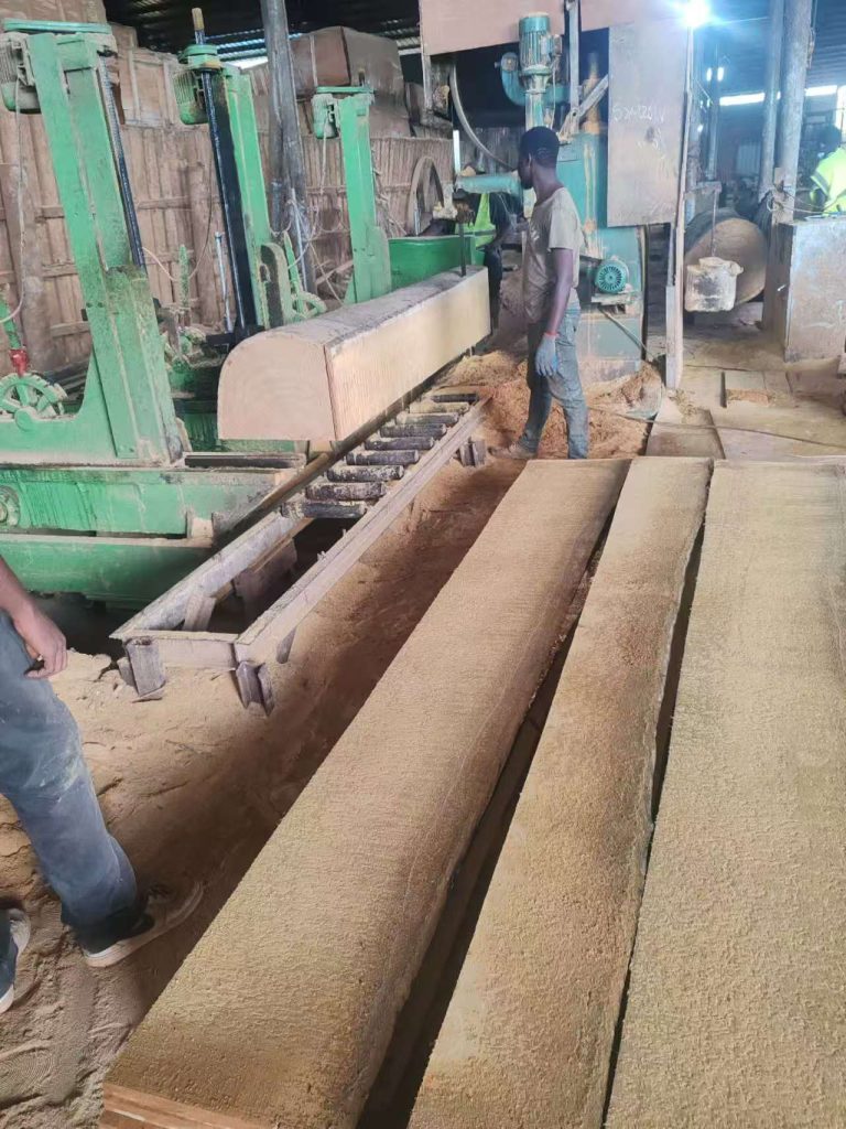 Workers are cutting Movingui